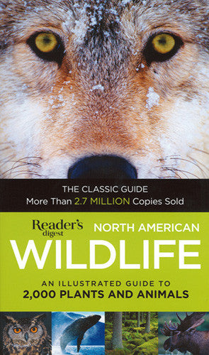 North American Wildlife Guide